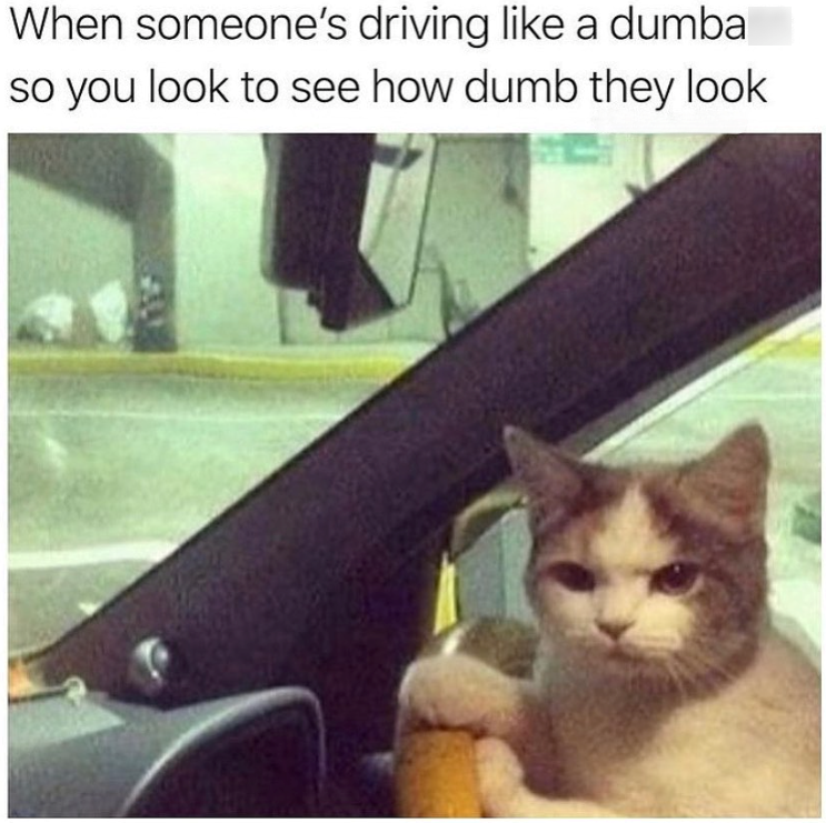 21 driving memes that drive drivers crazy to renew your strength for ...