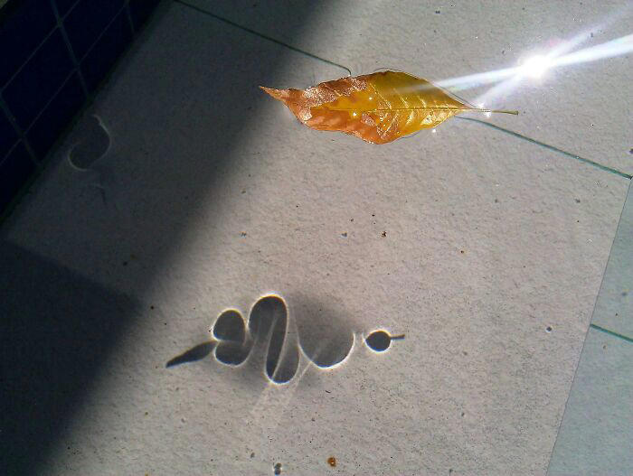 48 times people spotted surprising shadows worth photographing