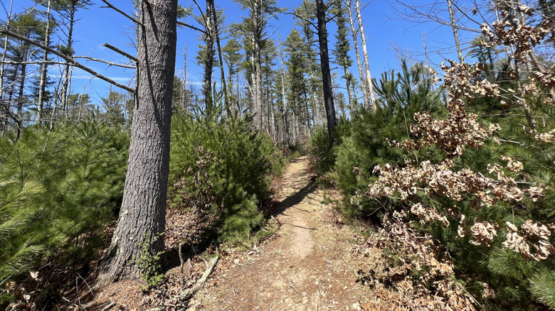 Rhode Island's only true border-to-border thru hike is a scenic trail ...