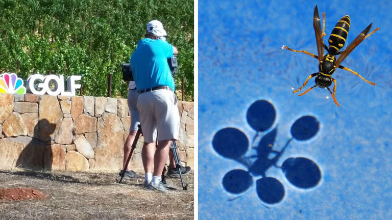 48 times people spotted surprising shadows worth photographing