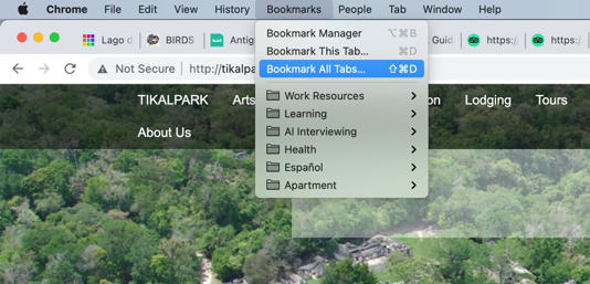 Google Chrome's Bookmark All Tabs option
