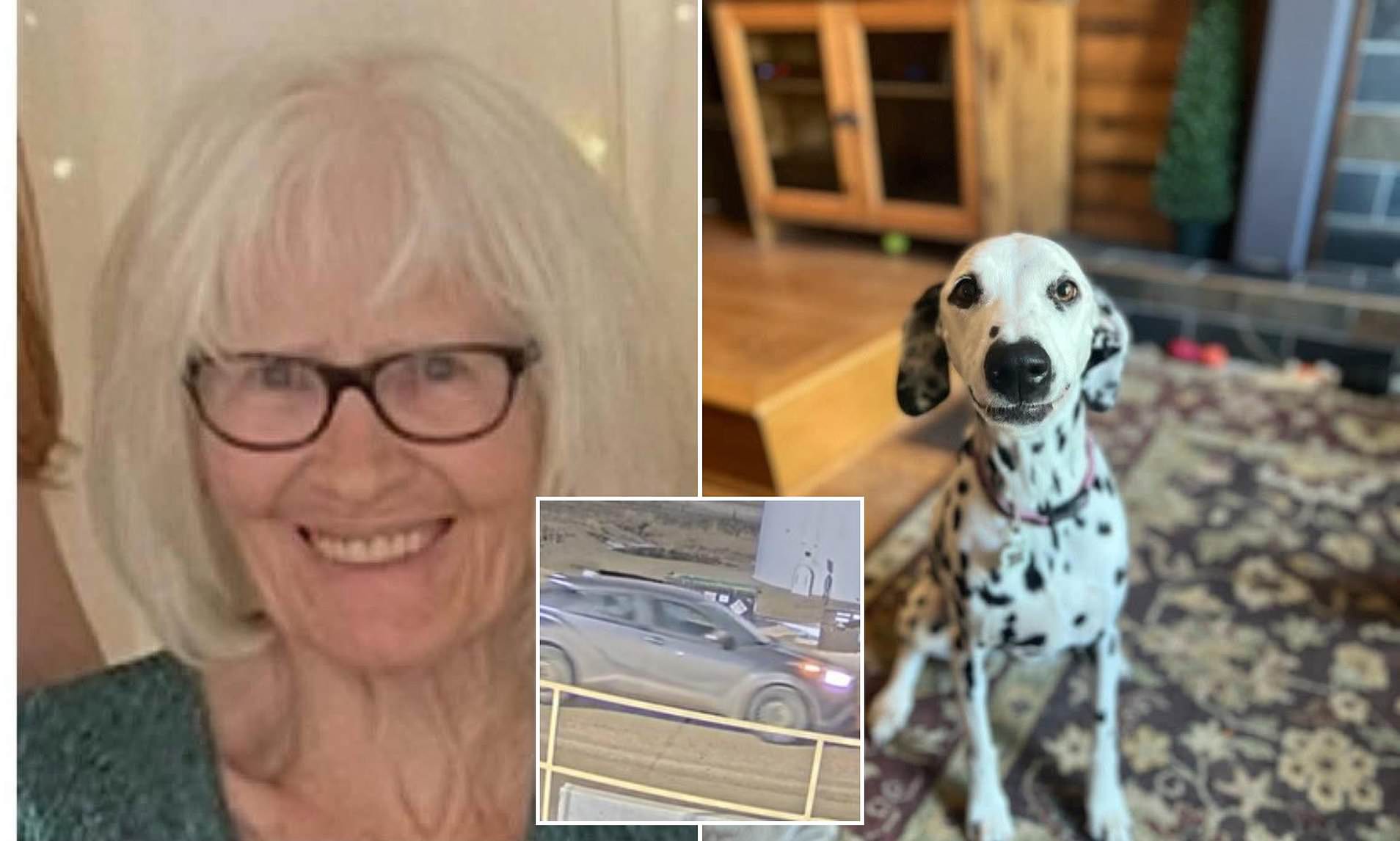 82-year-old woman found dead after she went missing with her Dalmatian ...