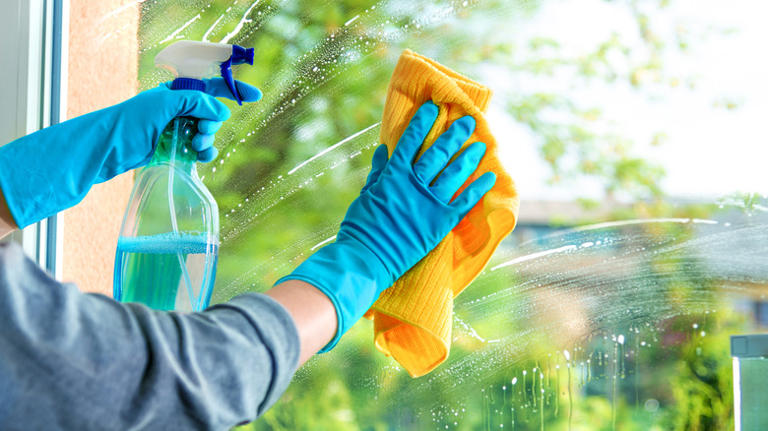 How to remove bird poop from windows fast