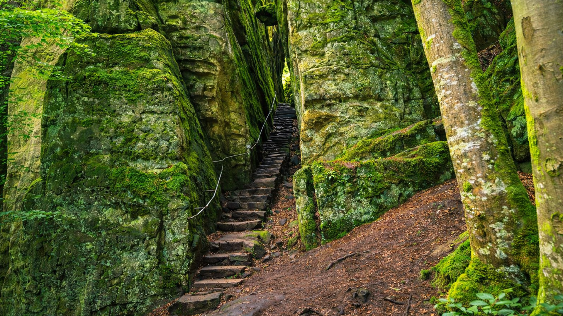 Devil’s Gorge Germany hidden hike in Eifel (4K)