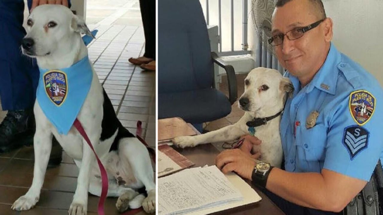 He walked into the police station and interrupted officers when they ...