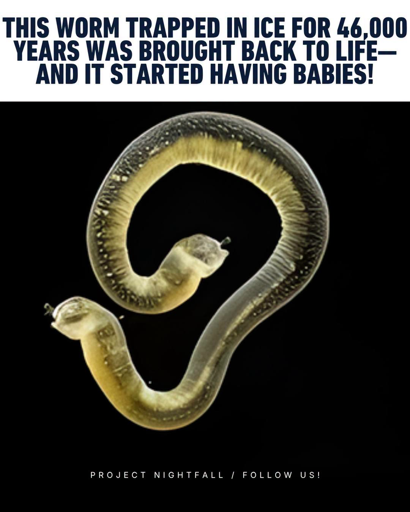 46,000 years frozen! Ancient worm wakes, becomes supermom, rewrites ...