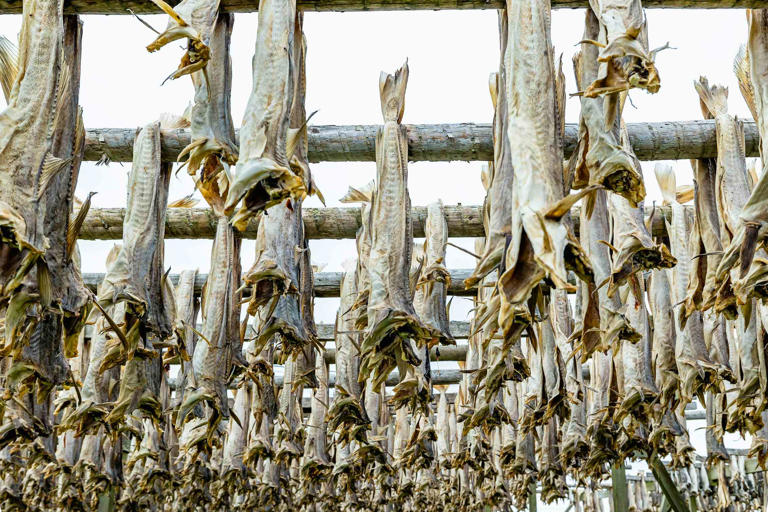 New advice on avoiding British cod: how to make sure your fish and ...