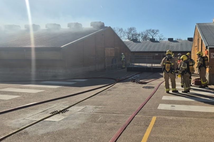 Turkeys killed in building fire