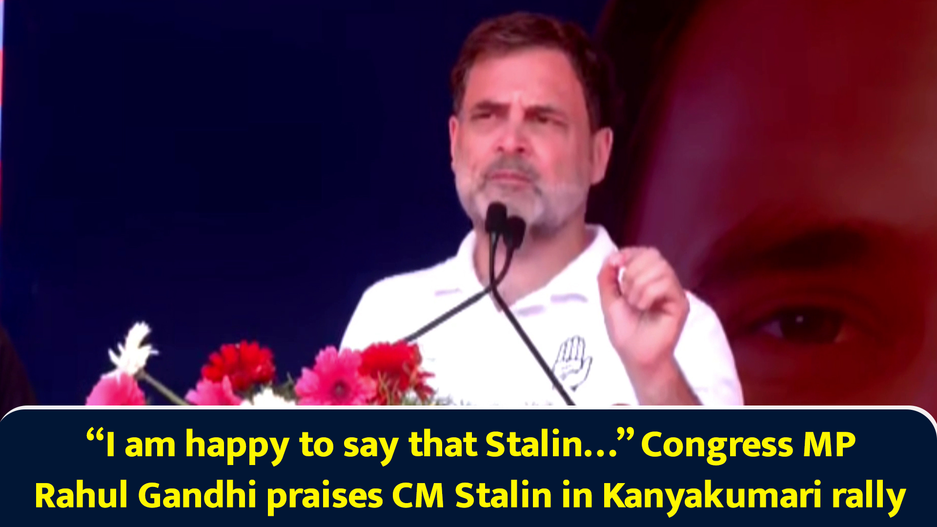 I am happy to say that Stalin… Congress MP Rahul Gandhi praises CM ...