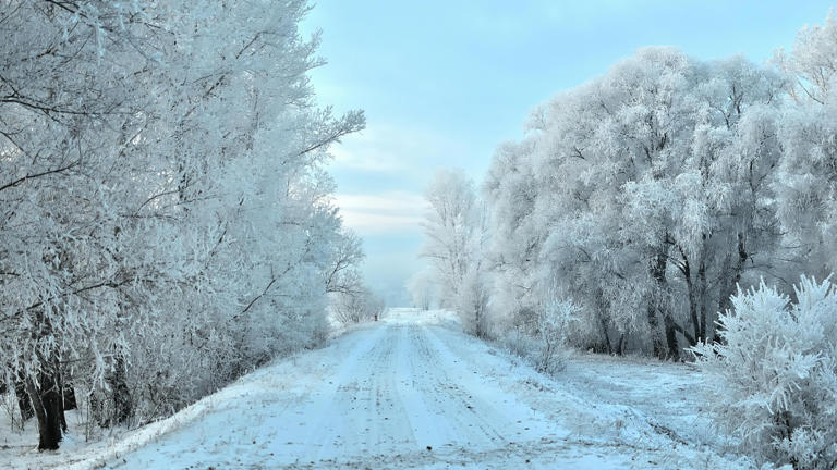 Wintry mix returns to East Coast as frost and freeze alerts expand