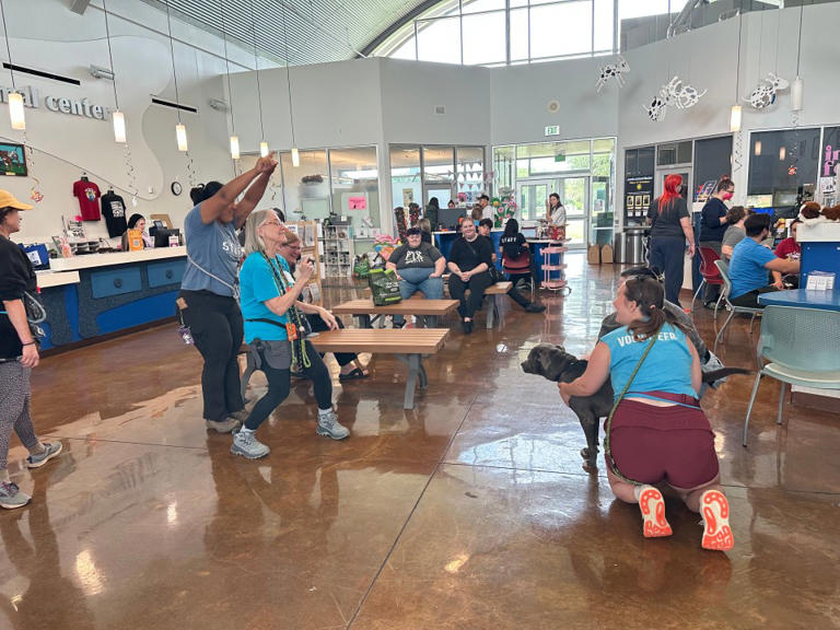 About 130 dogs housed or transferred after urgent call from Austin ...