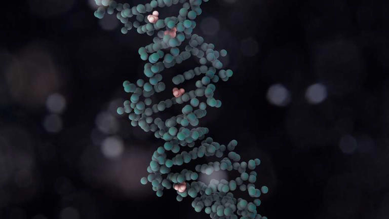 Cancer : une nouvelle approche génétique cible les cellules malades ...