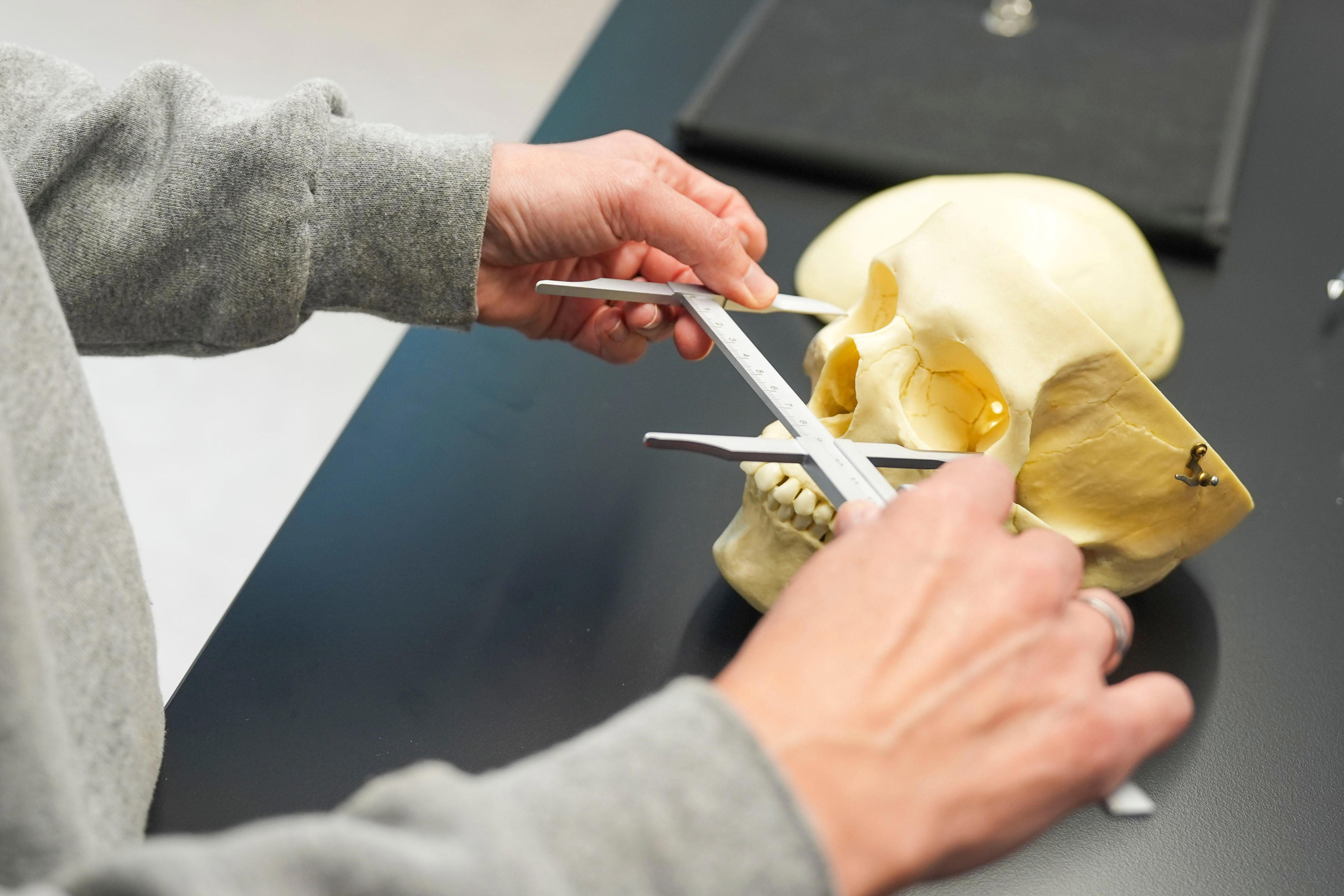 Body Farm casework grows with new University of Tennessee forensics lab