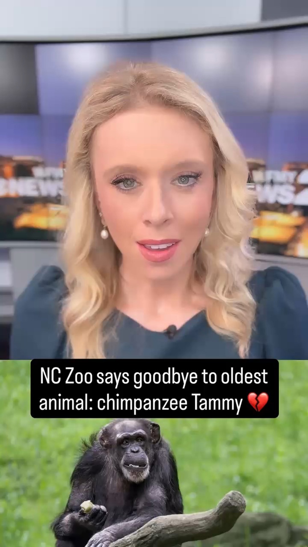 NC Zoo mourns death of oldest animal