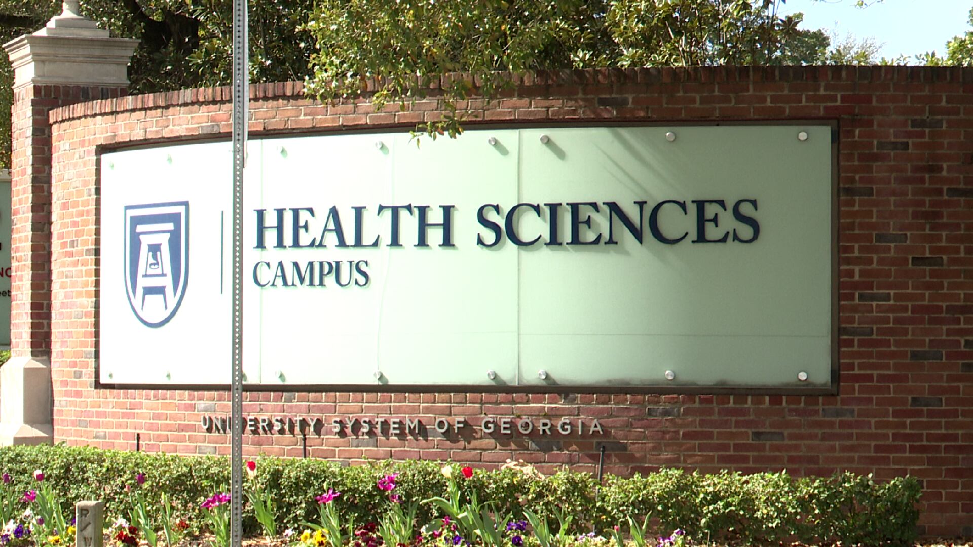 AU to launch first public health undergraduate degree program