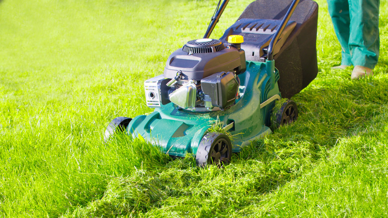The Reason Your Lawn Clippings Are Clumping & How To Fix It