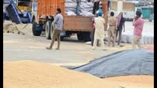Relief for farmers: UP relaxes wheat procurement norms