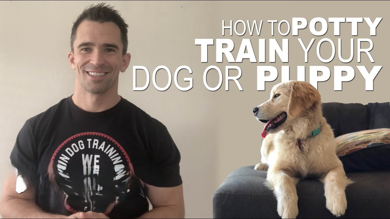 Watch How 3 Minutes Outside Changes Potty Training