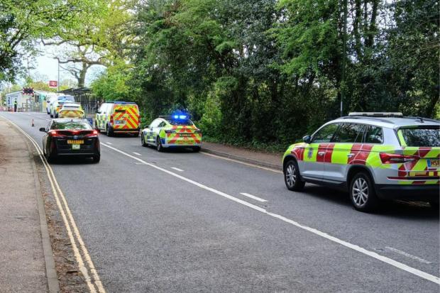 Person pronounced dead after being hit by train