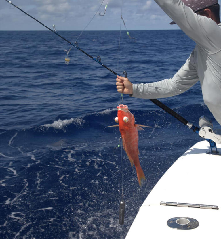 Deep-dropping tips to catch tasty fish