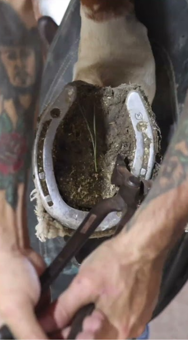 That tight shoe finally removed