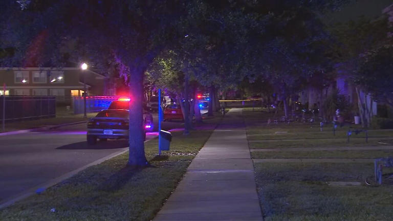 Suspects sought after shots fired into Orlando home