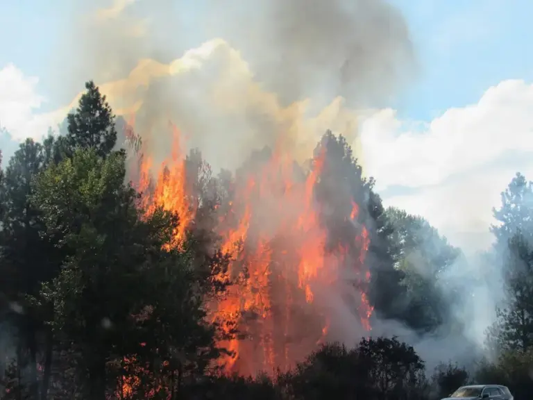 Invisible risks: Why experts warn about these 3 common ZIP code features