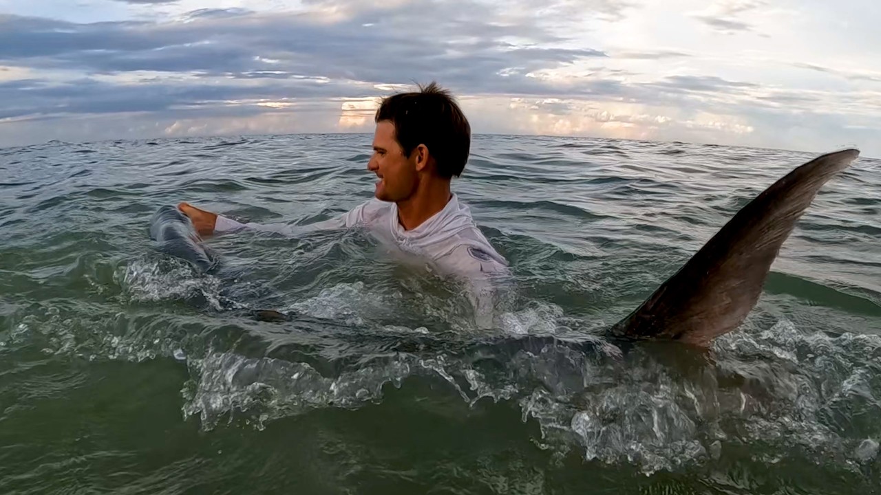 Giant prehistoric fish caught off a Florida beach during the mullet run