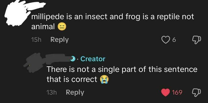 42 cringe moments of people being wrong with full confidence