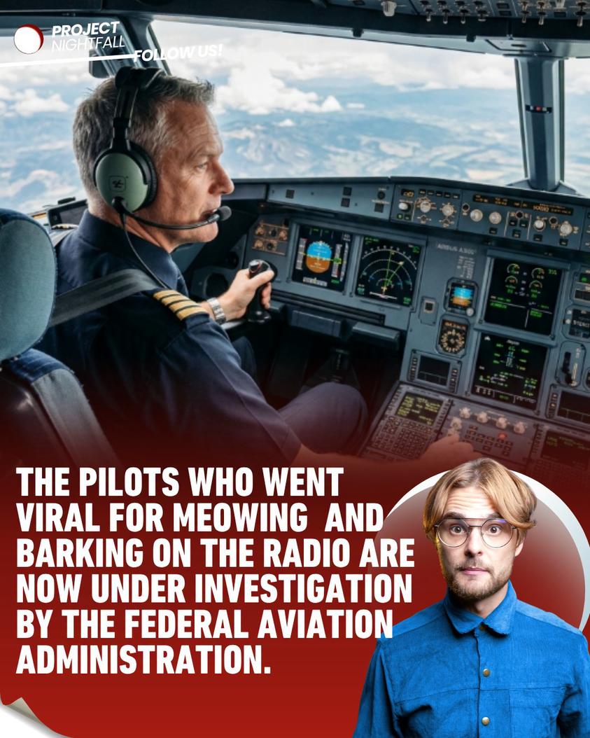 Humor crashes: 'Feral pilots' viral prank sparks terrifying FAA safety ...