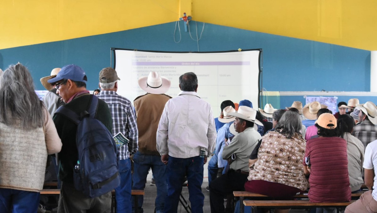 Semarnat dialoga con comunidades indígenas sobre restauración de la ...