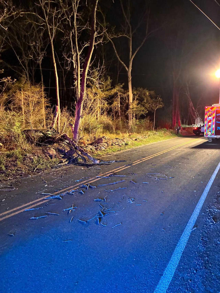 Driver injured after car strikes tree: Washington Twp FD