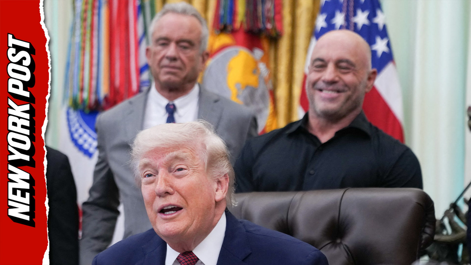 Joe Rogan shares Trump's surprising response to psychedelic drug ...