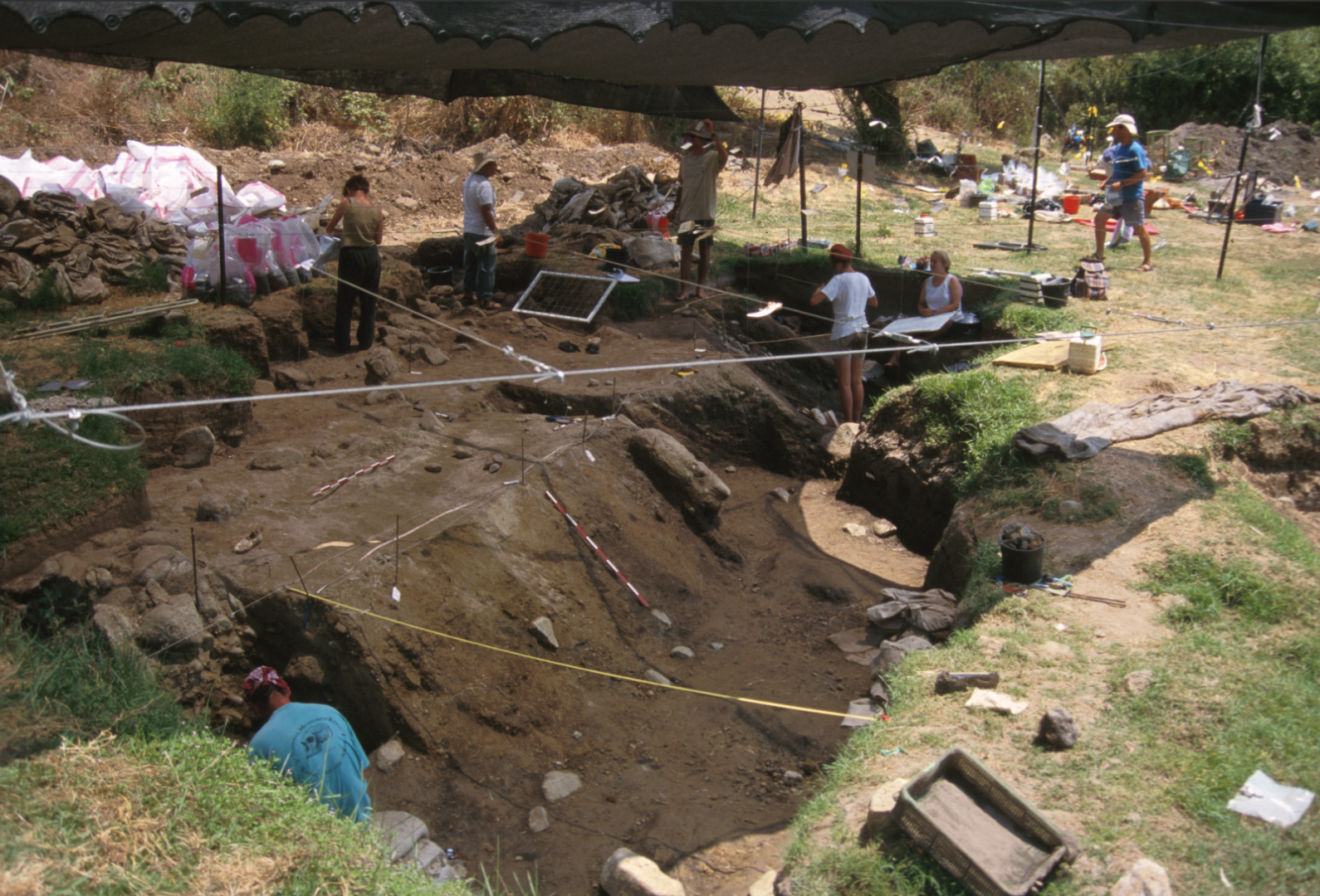Ancient charcoal from Israel reveals how early humans used fire