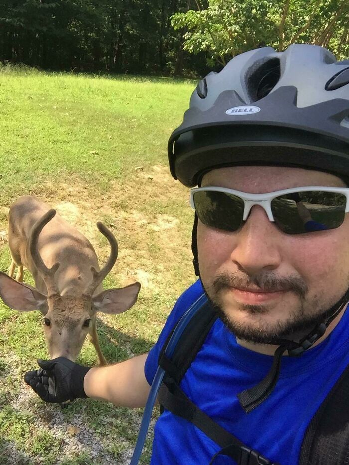 58 Unexpected Wild Animal Encounters That Caught People Off Guard