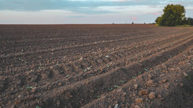 What's happening to the world's soil — and why it matters more than you ...