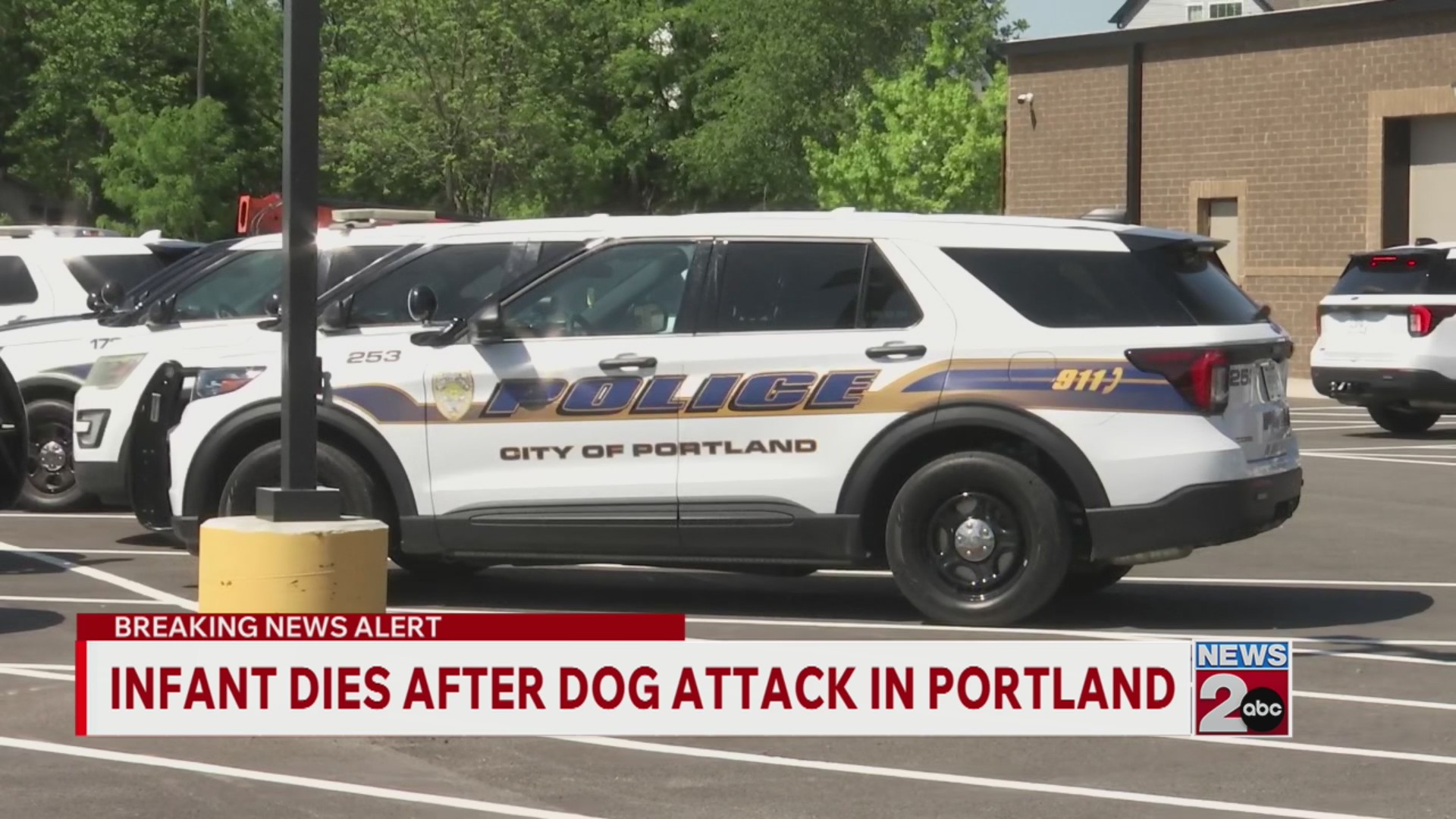 Infant dies after dog attack in Portland
