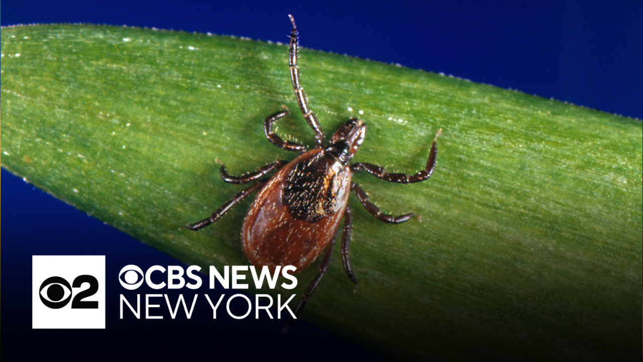 ER visits for tick bites are on the rise. How you can protect yourself