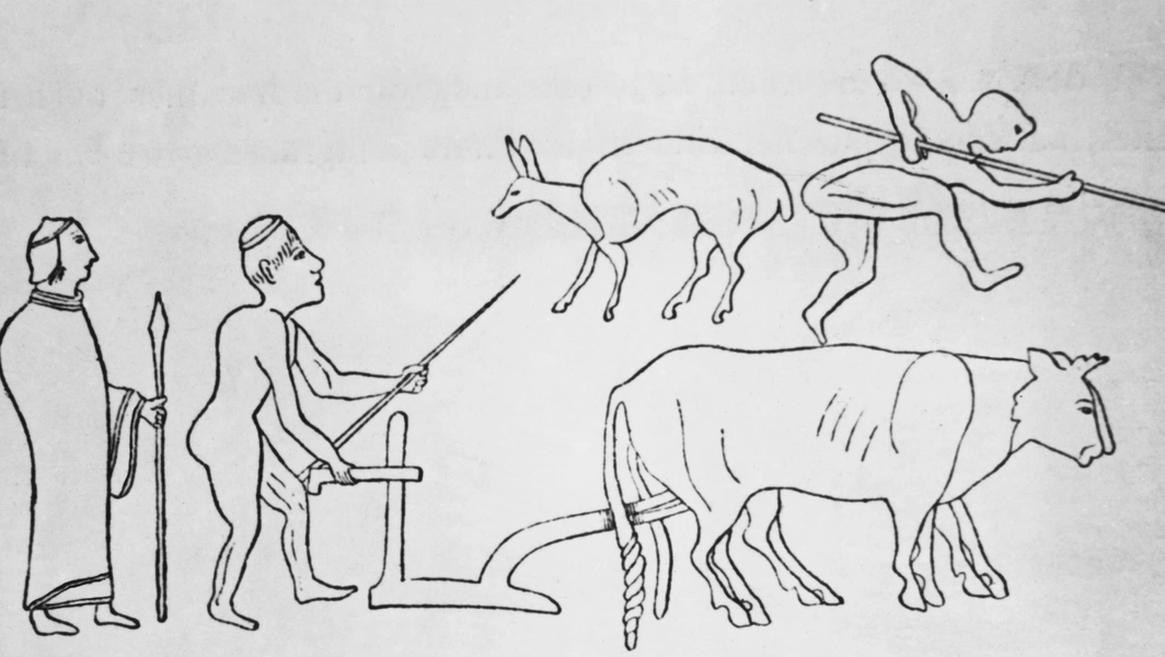 Ancient DNA study shows rapid human evolution in past 10,000 years