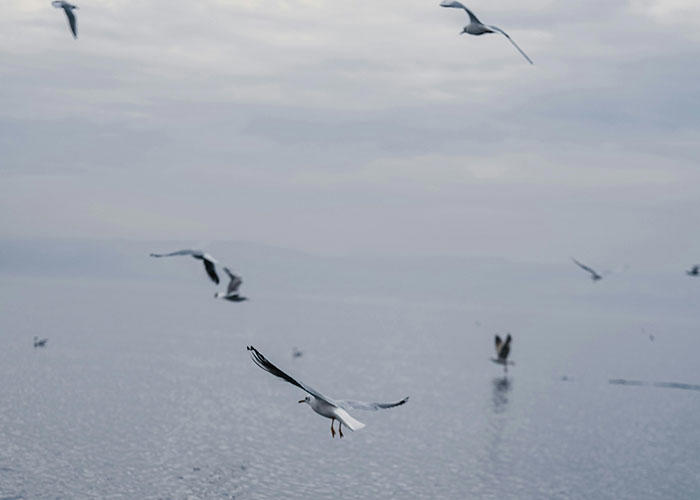 37 creepy and unsettling things people witnessed in remote locations