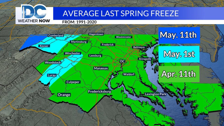 Most of the DMV is under a freeze warning overnight