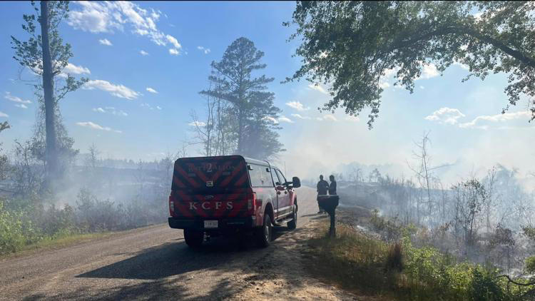 Crews battle 150-acre woods fire in Lee County near Rembert