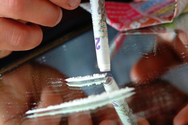 'Cocaine salmon' swim faster and farther than sober fish in wild drug study