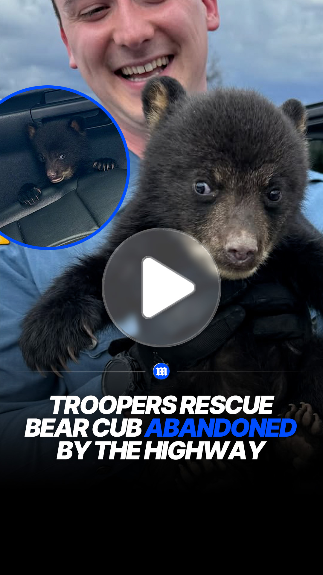 Troopers rescue abandoned bear cub near highway