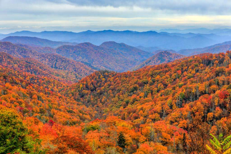 10 best national parks to visit in spring