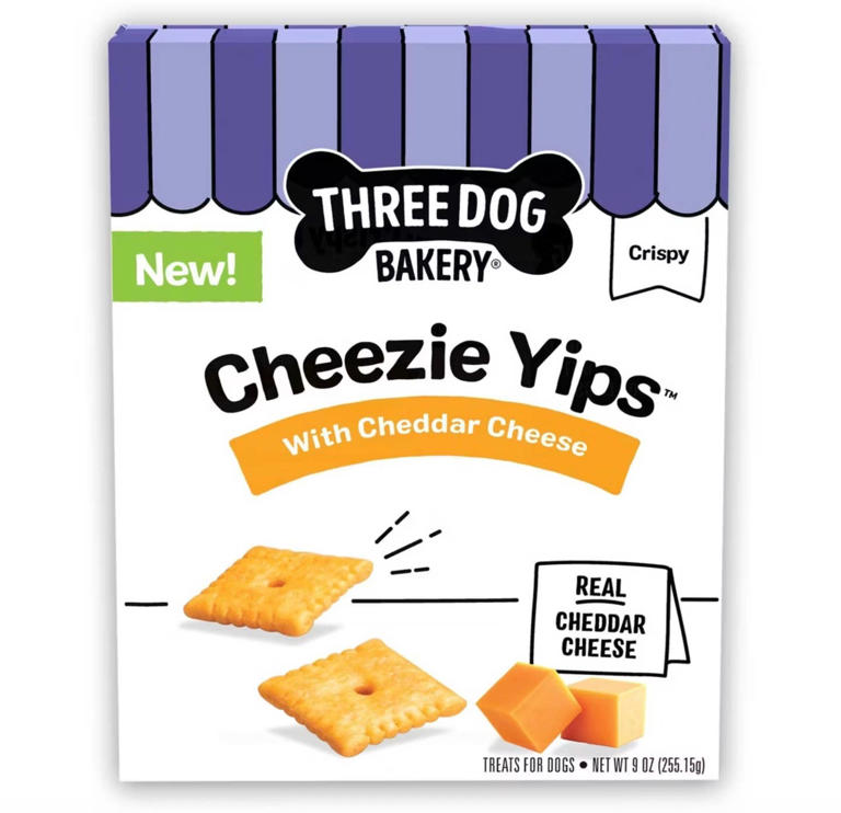 Target's new cheddar cheese dog treats delight pups with crunchy flavor