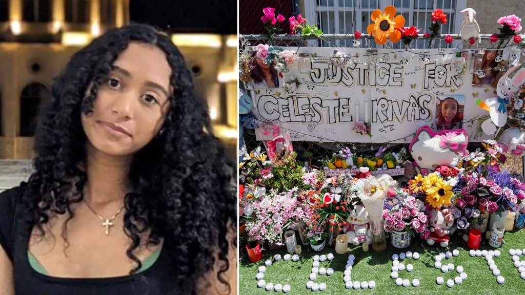 Celeste Rivas’ family speaks out after D4vd is arrested on suspicion of ...