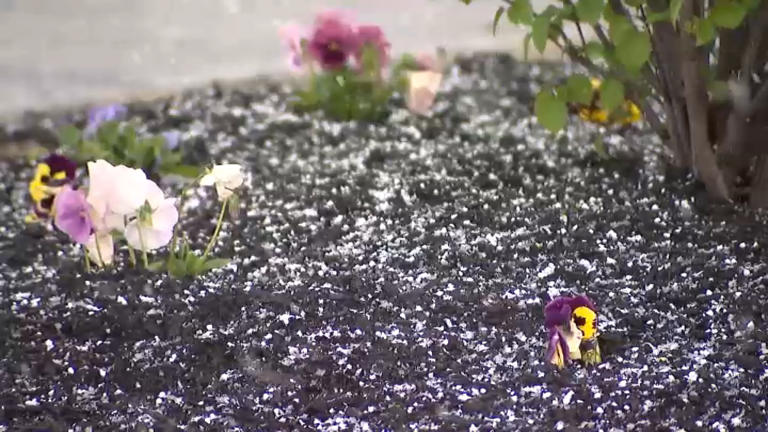 Did it hail in Philly Monday? Small pea-sized ice pellets fell from the sky