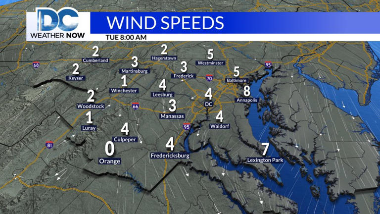 Most of the DMV is under a freeze warning overnight