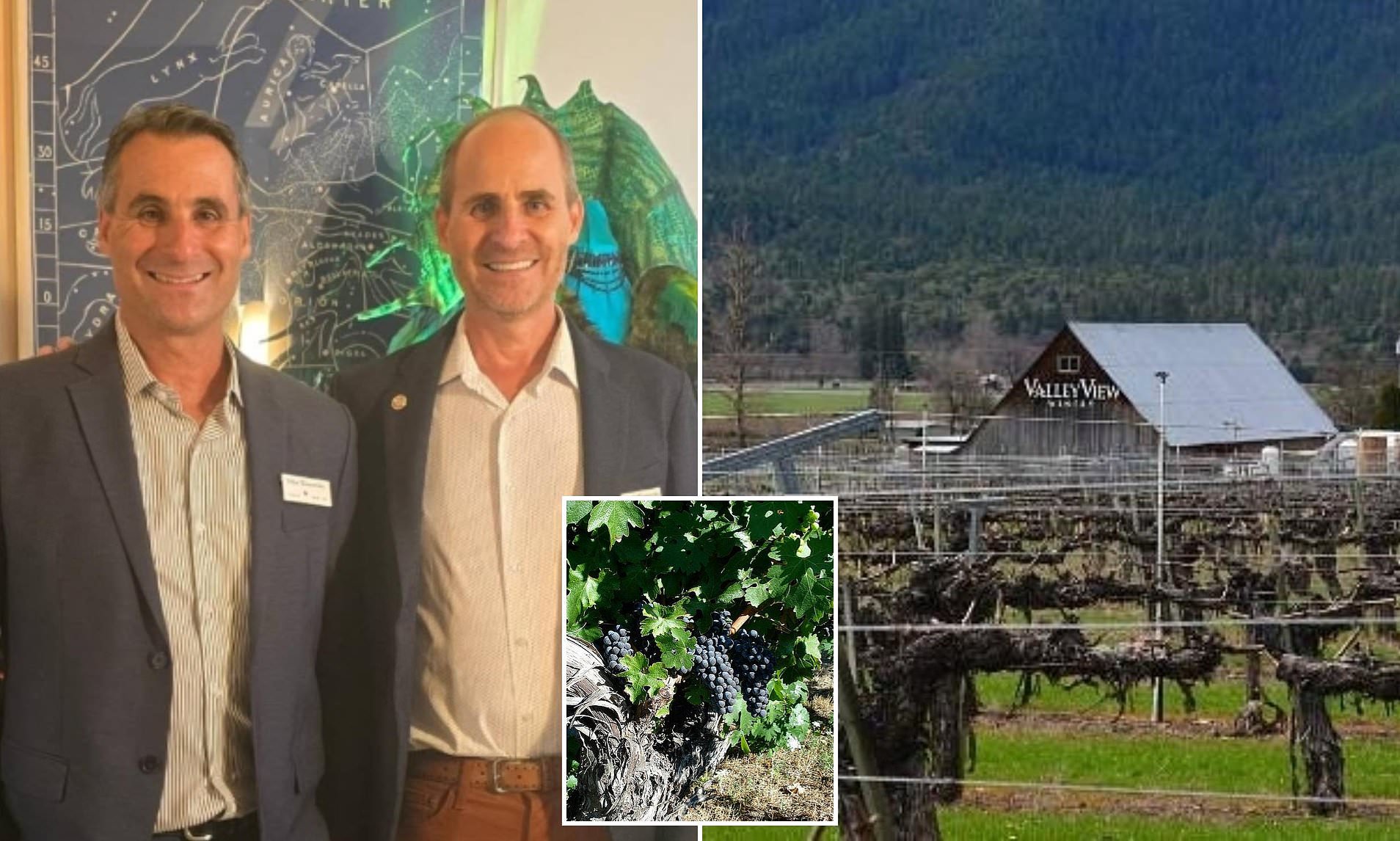 Family-owned 80-acre winery feud turns sour as four children battle for ...